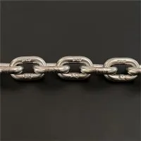 שרשרת תמסורת פלדת פחמן מפלדת אל חלד קו שחיטה